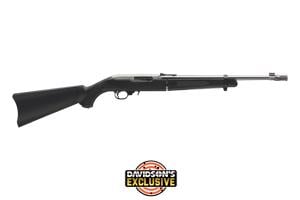 Ruger 10/22 Take Down (Davidsons Exclusive)