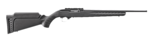 Ruger 10/22 Carbine 22 LR 736676312399