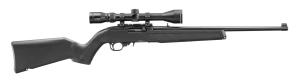 Ruger 10/22