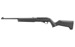 Ruger 10/22