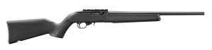 Ruger 10/22