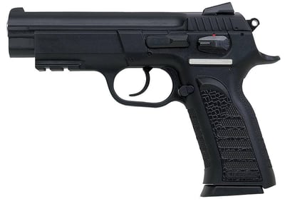 European American Armory Witness