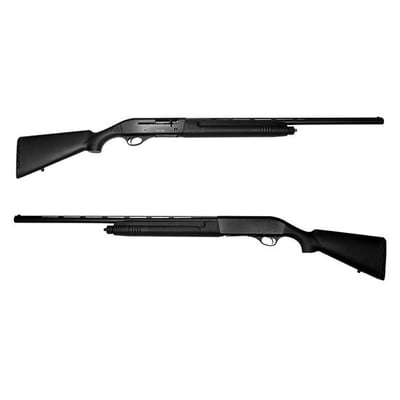 European American Armory 220