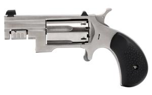 North American Arms Sentinel Silver