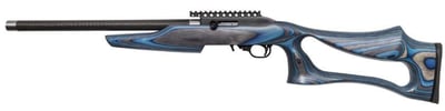 Magnum Research SwitchBolt 22 LR SSEB22G