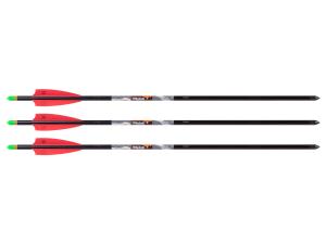 TenPoint Lighted XX75 Wicked Ridge Aluminum Arrows, 3-pack TP HEA0683