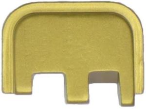 Anarchy Outdoors CZ-P10C Slide Plate, Gold