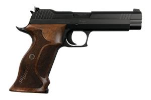 P210 Target Full Size