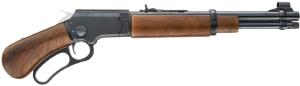 Chiappa LA322 Bootleg Take Down