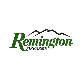 Remington 552 BDL