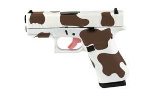 Glock 43X 9mm 810100237677