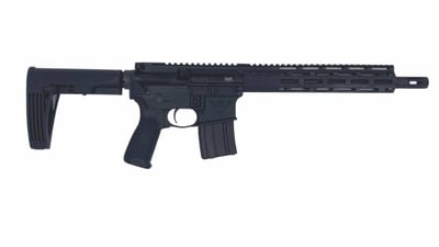 Wilson Combat Protector Pistol 300 BLK TR-PP-300B-BL
