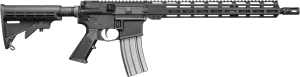 Echo 316M