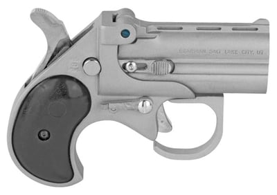Cobra Firearms Big Bore Stainless Steel .22 WMR BBG22SB