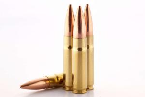 Wilson Combat Rifle Ammunition 300 Blackout | 220gr Sierra HPBT 1025 FPS - 16" Barrel (Subsonic) 20/Box 