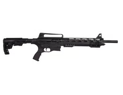 Charles Daly AR-12A