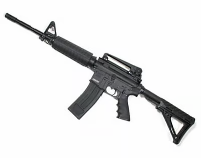 Chiappa M4