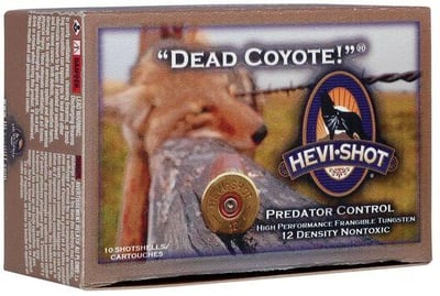 Dead Coyote