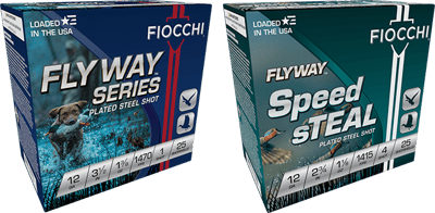 Flyway Series