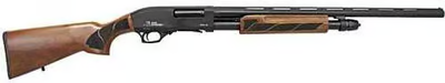 Iver Johnson Arms PAS20