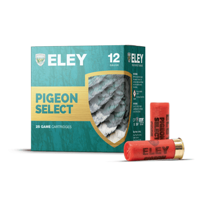 Pigeon