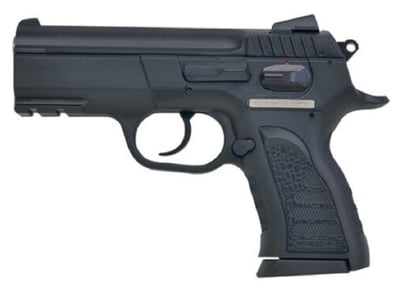 European American Armory Witness