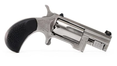 North American Arms NAA Sentinel