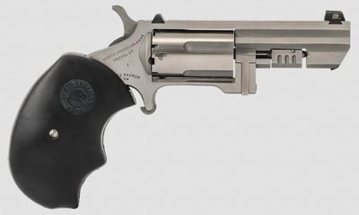 North American Arms NAA Recluse
