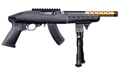 Ruger 22 Charger Takedown