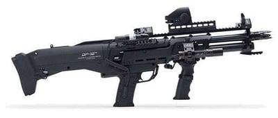DP-12