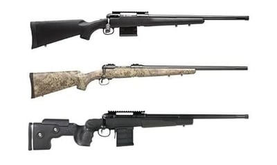 Savage Arms 10