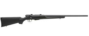 Savage Arms 25