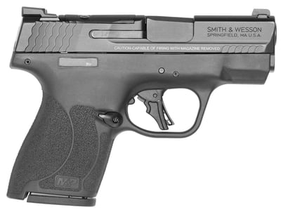 Smith and Wesson M&P Shield Plus 9mm 3.1" Barrel 10-Rounds Optics Ready - $384.99 (E-Mail Price) 