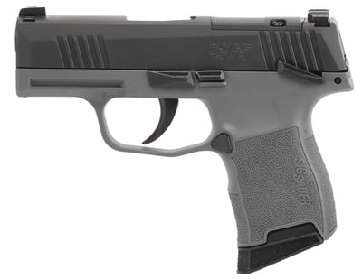 Sig Sauer P365 9mm 3.1" Barrel (2)-10Rd Magazines Night Sights Black And Gray Finish - $499.99 (Free S/H on Firearms)