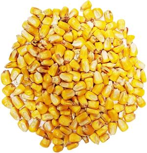 2A Armament DEER CORN CLEANED 50# BAG 000000041129