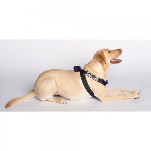 Pink Canine Travel Safe Harness, Small 1 000000130585