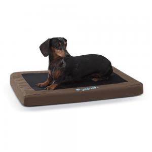 Comfy N' Dry Indoor/Outdoor Pet Bed, Small, Chocolate 000000137274
