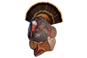 RINEHART TARGETS Spot and Stalk Turkey Decoy 000010354976