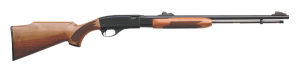 Remington  22LR 25624