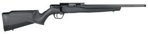 Savage B17 Bolt Action