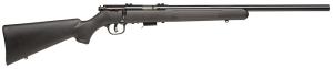 SAV 96700 93R17FV 17HMR AT HB