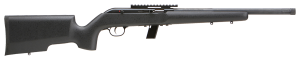 Savage Arms  22LR 45200