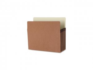 Business Source File Pocket 5-1/4' Exp. Letter 10/BX Redrope 65792