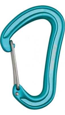 Edelrid Nineteen G Carabiner, Icemint, 718300003290