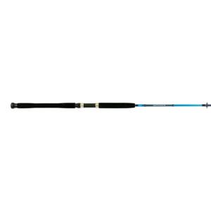 Shimano Saguaro Spinning Rod, 2 Piece, Fast, Medium-Heavy, . 20-50lb, Braid Line, Eva Grip, 9', SGS90MH2A 022255102414