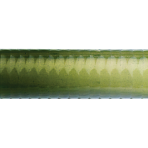 Do-It Colorant - Chartreuse 025724914013