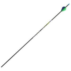 Allen Rz600 Carbon Arrow, Bulk, .006 Straightness, Black, 31in, 9142