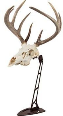 Allen Ez Mount Centerpiece Skull Stand Brown 