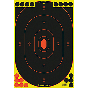 Birchwood Casey 34250 Shoot-N-C  Sight-In Target 12" (Per 50)