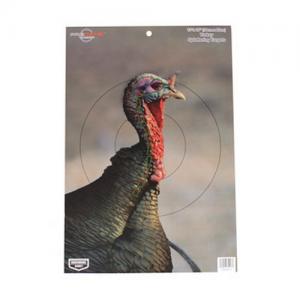 Birchwood Casey Casey 35403 PreGame Turkey 12-inch x18-inch 35403